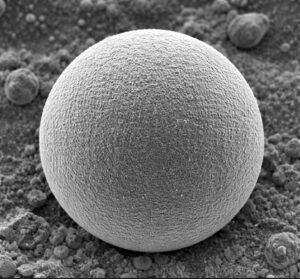 REM-Aufnahme-Aluminiumpulver-sphaerisch-D50-2µm